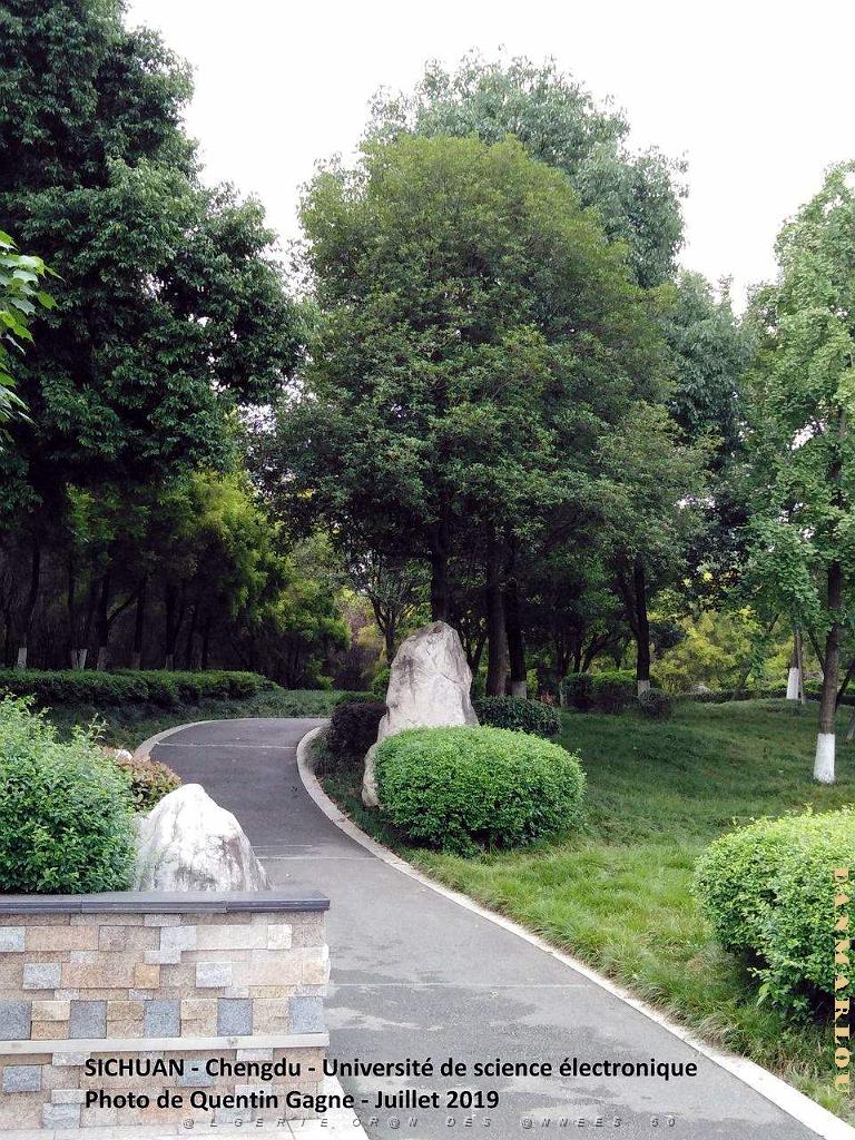 Chengdu- Universite Science electronique 077.jpg